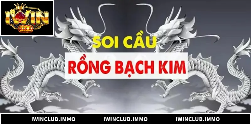 Bí kíp soi cầu dàn đề rồng bạch kim chuẩn xác, thắng lớn